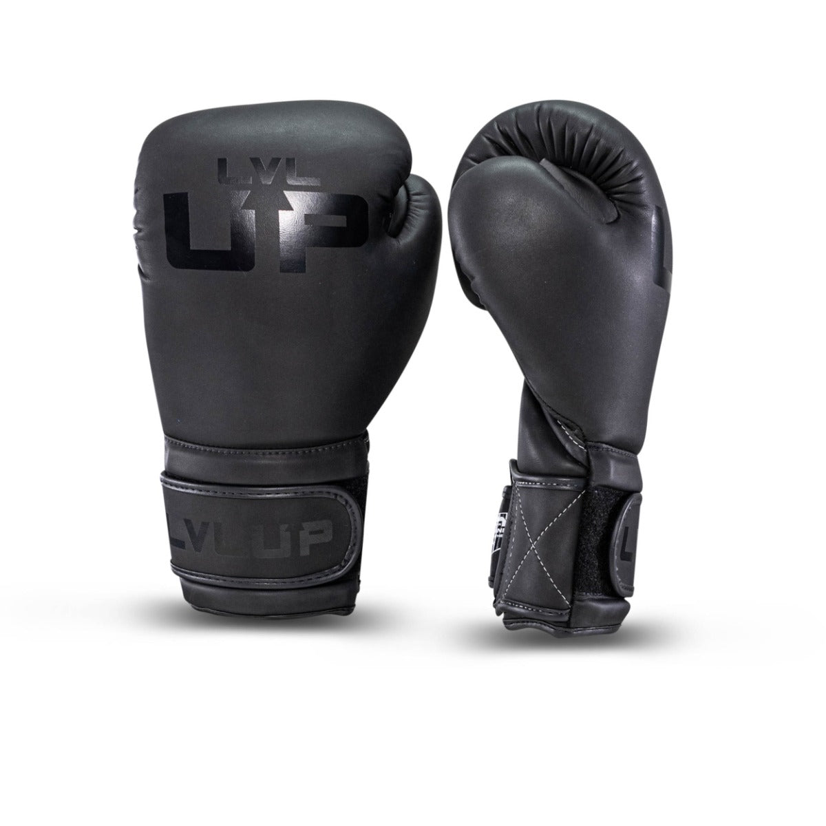 LVL UP boxing gloves BG-2