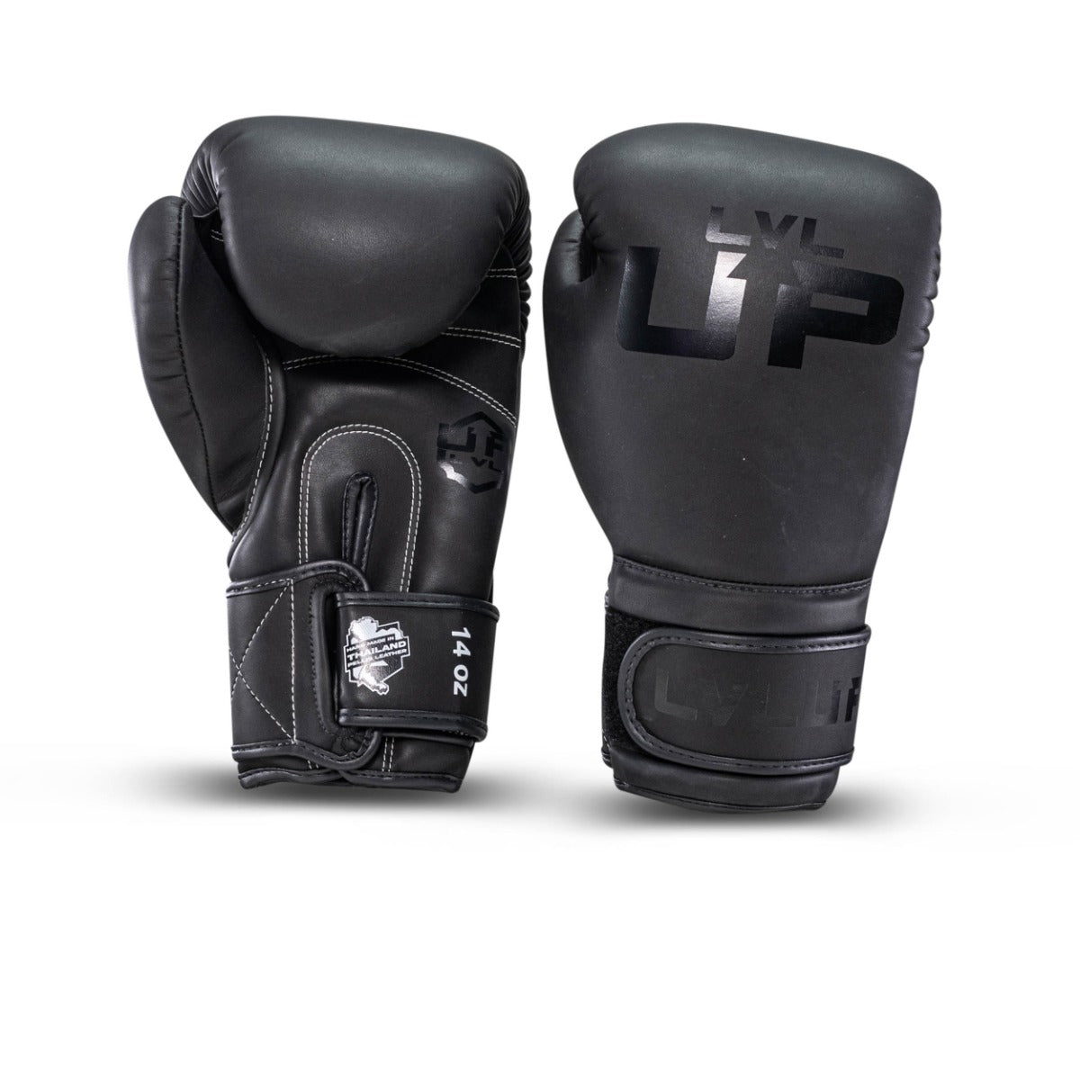 LVL UP boxing gloves BG-2