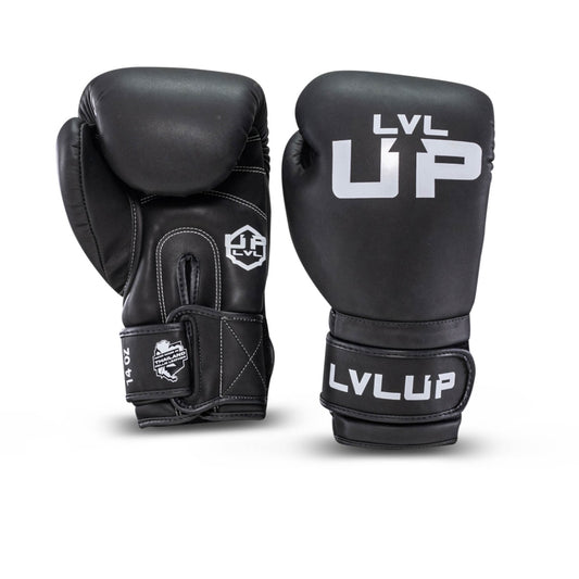 LVL UP boxing gloves BG-1