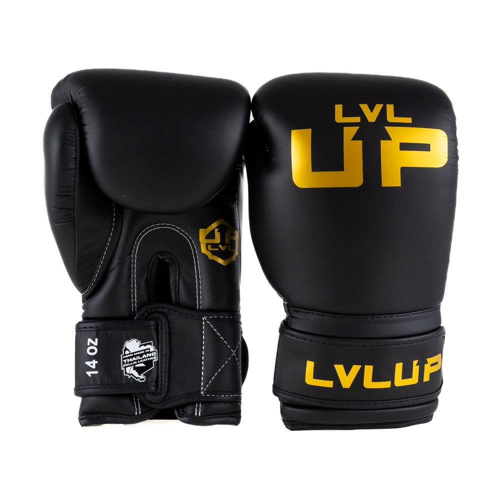 LVL UP boxing gloves BG-4