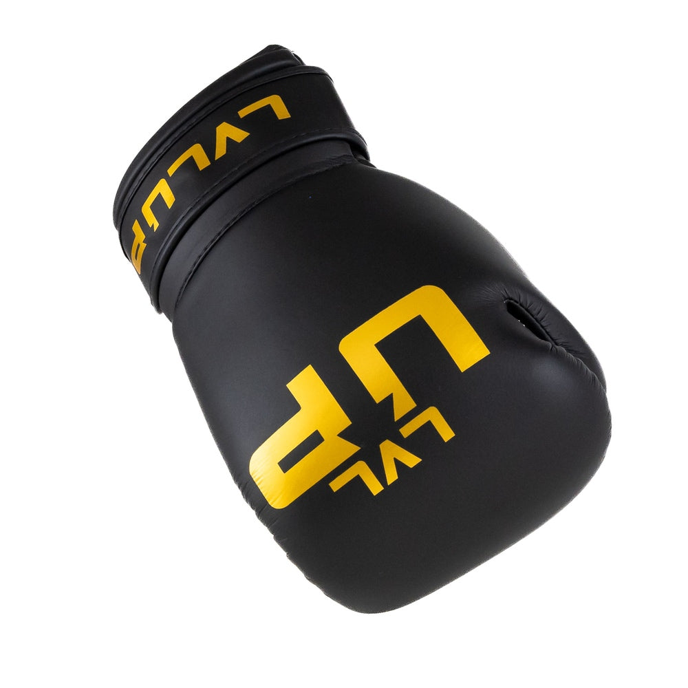 LVL UP boxing gloves BG-4