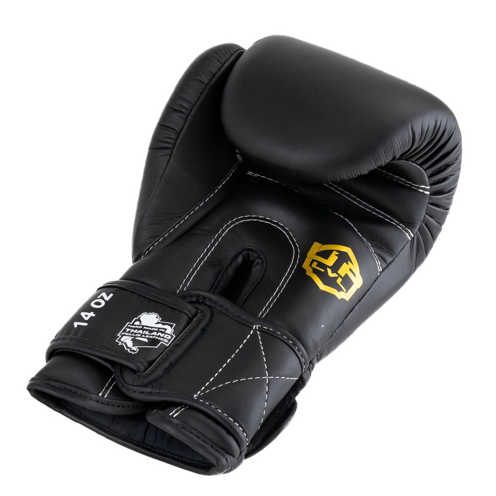 LVL UP boxing gloves BG-4