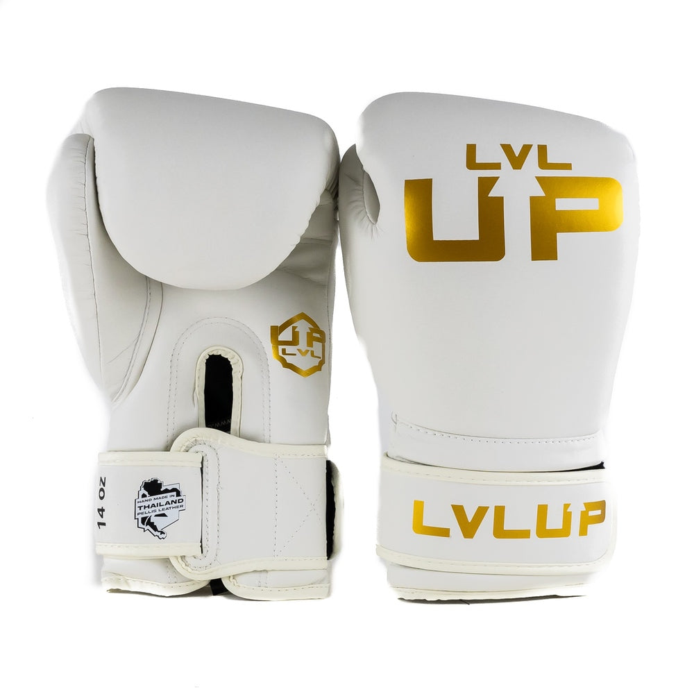 LVL UP boxing gloves BG-3