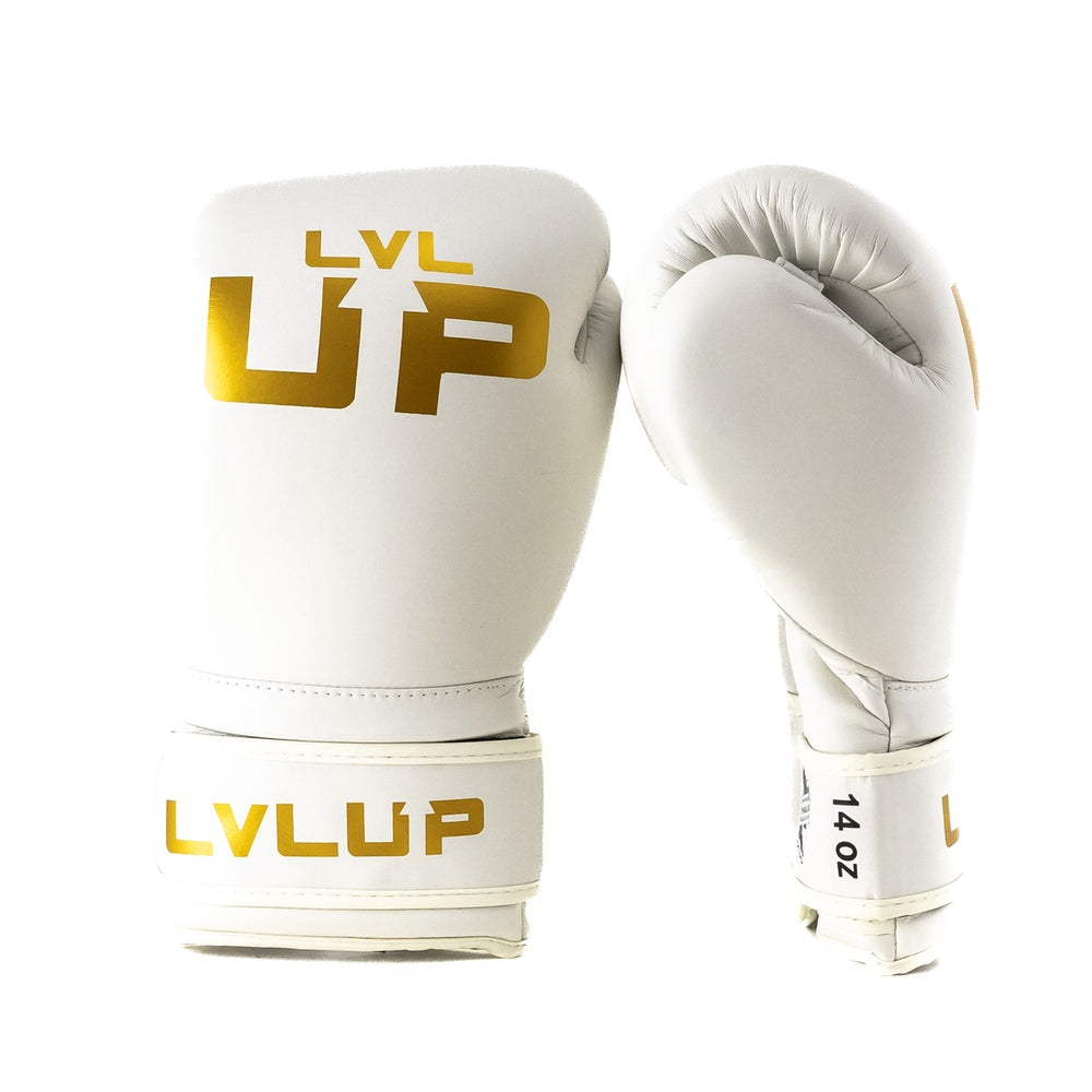 LVL UP boxing gloves BG-3