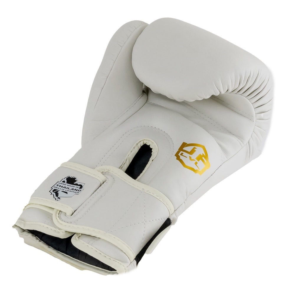 LVL UP boxing gloves BG-3